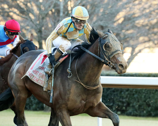 SILENT TACTIC - The Southwest Stakes G3 - 02-06-26 - R11 - OP - Finish 05 - Coady Media - Kurtis Coady Photography