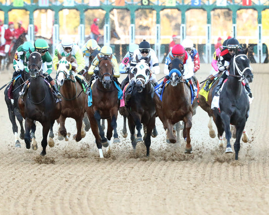 SILENT TACTIC - The Southwest Stakes G3 - 02-06-26 - R11 - OP - First Turn 01 - Coady Media - Kurtis Coady Photography