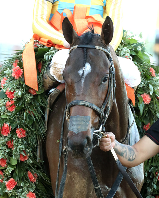 SILENT TACTIC - The Southwest Stakes G3 - 02-06-26 - R11 - OP - Garland 01 - Coady Media - Kurtis Coady Photography