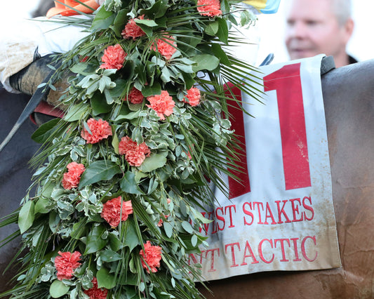 SILENT TACTIC - The Southwest Stakes G3 - 02-06-26 - R11 - OP - Garland 02 - Coady Media - Kurtis Coady Photography