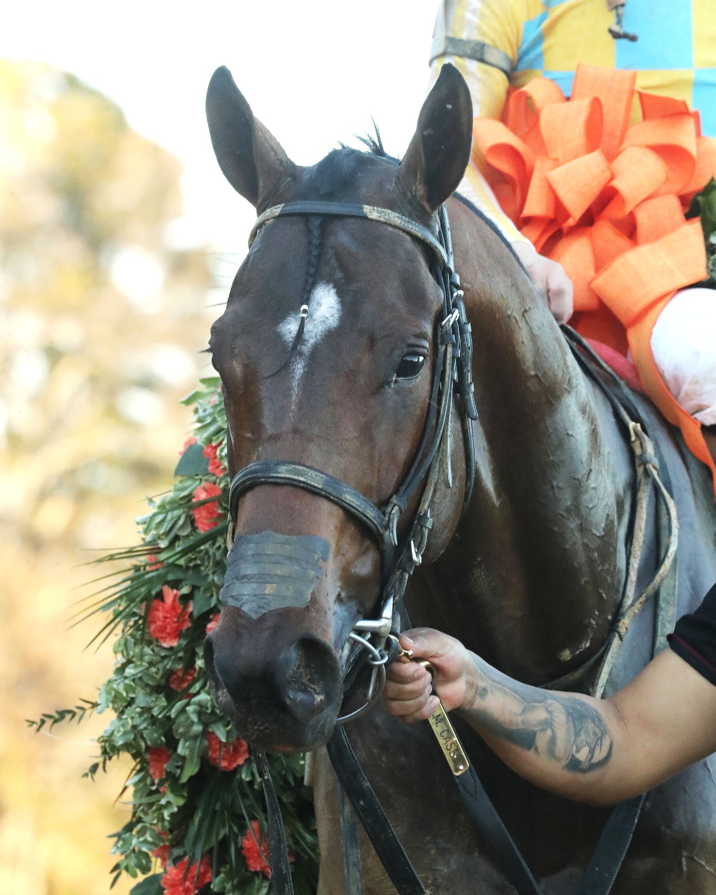 SILENT TACTIC - The Southwest Stakes G3 - 02-06-26 - R11 - OP - Garland 04 - Coady Media - Kurtis Coady Photography