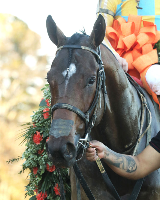 SILENT TACTIC - The Southwest Stakes G3 - 02-06-26 - R11 - OP - Garland 04 - Coady Media - Kurtis Coady Photography
