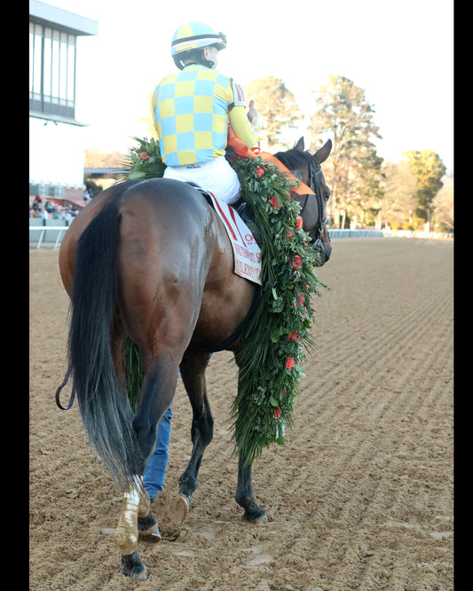 SILENT TACTIC - The Southwest Stakes G3 - 02-06-26 - R11 - OP - Garland 07 - Coady Media - Kurtis Coady Photography