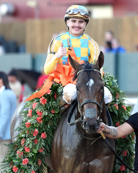 SILENT TACTIC - The Southwest Stakes G3 - 02-06-26 - R11 - OP - Garland 10 - Coady Media - Kurtis Coady Photography