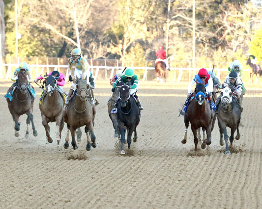 SILENT TACTIC - The Southwest Stakes G3 - 02-06-26 - R11 - OP - Head On 01 - Coady Media - Kurtis Coady Photography