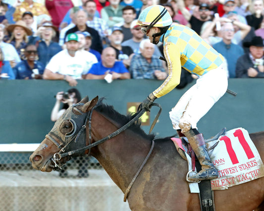 SILENT TACTIC - The Southwest Stakes G3 - 02-06-26 - R11 - OP - Inside Finish 01 - Coady Media - Kurtis Coady Photography