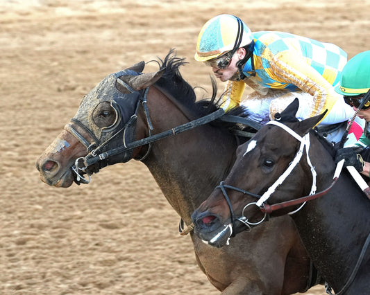 SILENT TACTIC - The Southwest Stakes G3 - 02-06-26 - R11 - OP - Inside Finish 03 - Coady Media - Kurtis Coady Photography