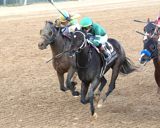 SILENT TACTIC - The Southwest Stakes G3 - 02-06-26 - R11 - OP - Inside Finish 03 - Coady Media - Kurtis Coady Photography