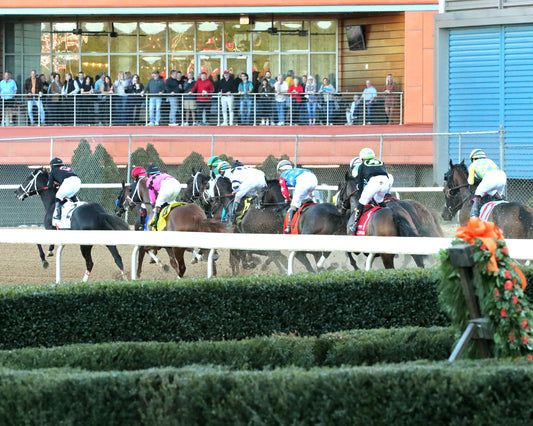 SILENT TACTIC - The Southwest Stakes G3 - 02-06-26 - R11 - OP - Inside First Pass 01 - Coady Media - Kurtis Coady Photography