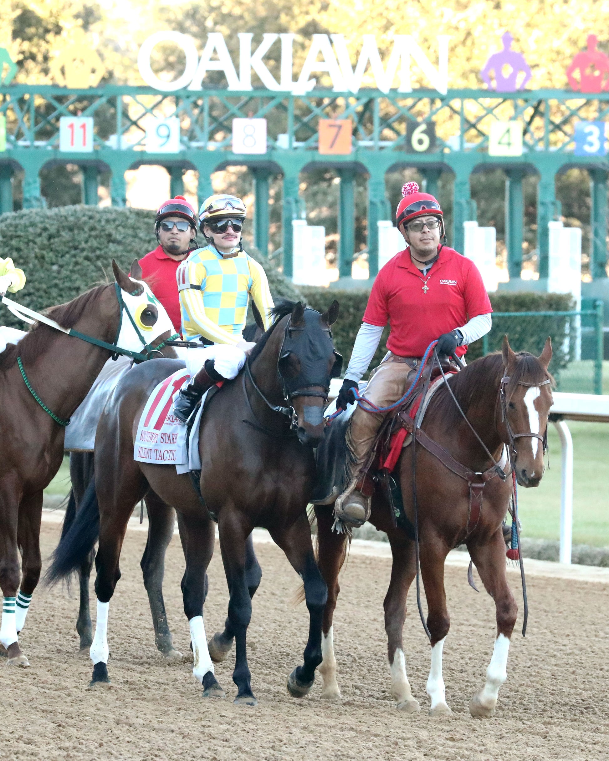 SILENT TACTIC - The Southwest Stakes G3 - 02-06-26 - R11 - OP - Post Parade 02 - Coady Media - Kurtis Coady Photography