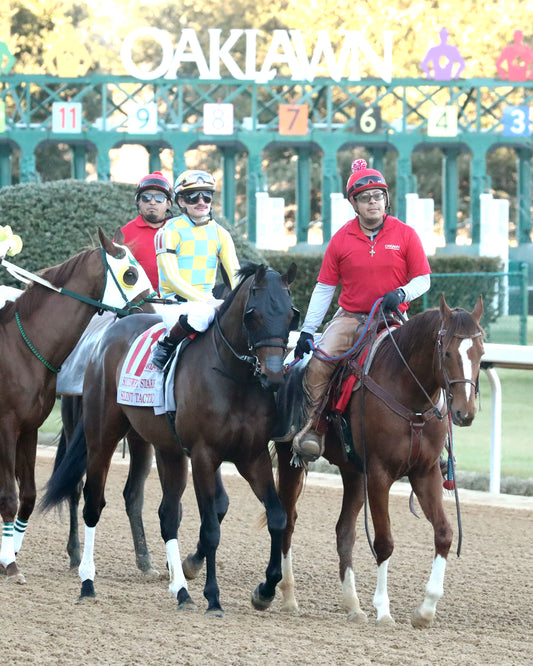 SILENT TACTIC - The Southwest Stakes G3 - 02-06-26 - R11 - OP - Post Parade 02 - Coady Media - Kurtis Coady Photography
