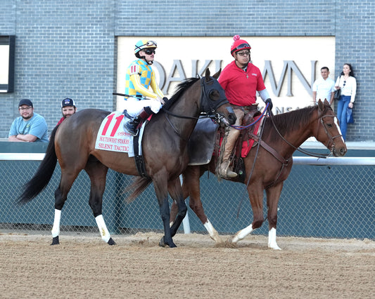 SILENT TACTIC - The Southwest Stakes G3 - 02-06-26 - R11 - OP - Post Parade 03 - Coady Media - Kurtis Coady Photography
