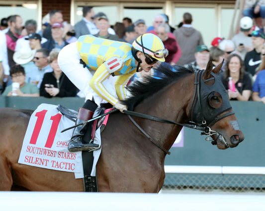 SILENT TACTIC - The Southwest Stakes G3 - 02-06-26 - R11 - OP - Post Parade 05 - Coady Media - Kurtis Coady Photography