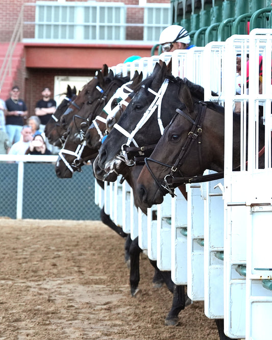 SILENT TACTIC - The Southwest Stakes G3 - 02-06-26 - R11 - OP - Start 01 - Coady Media - Kurtis Coady Photography