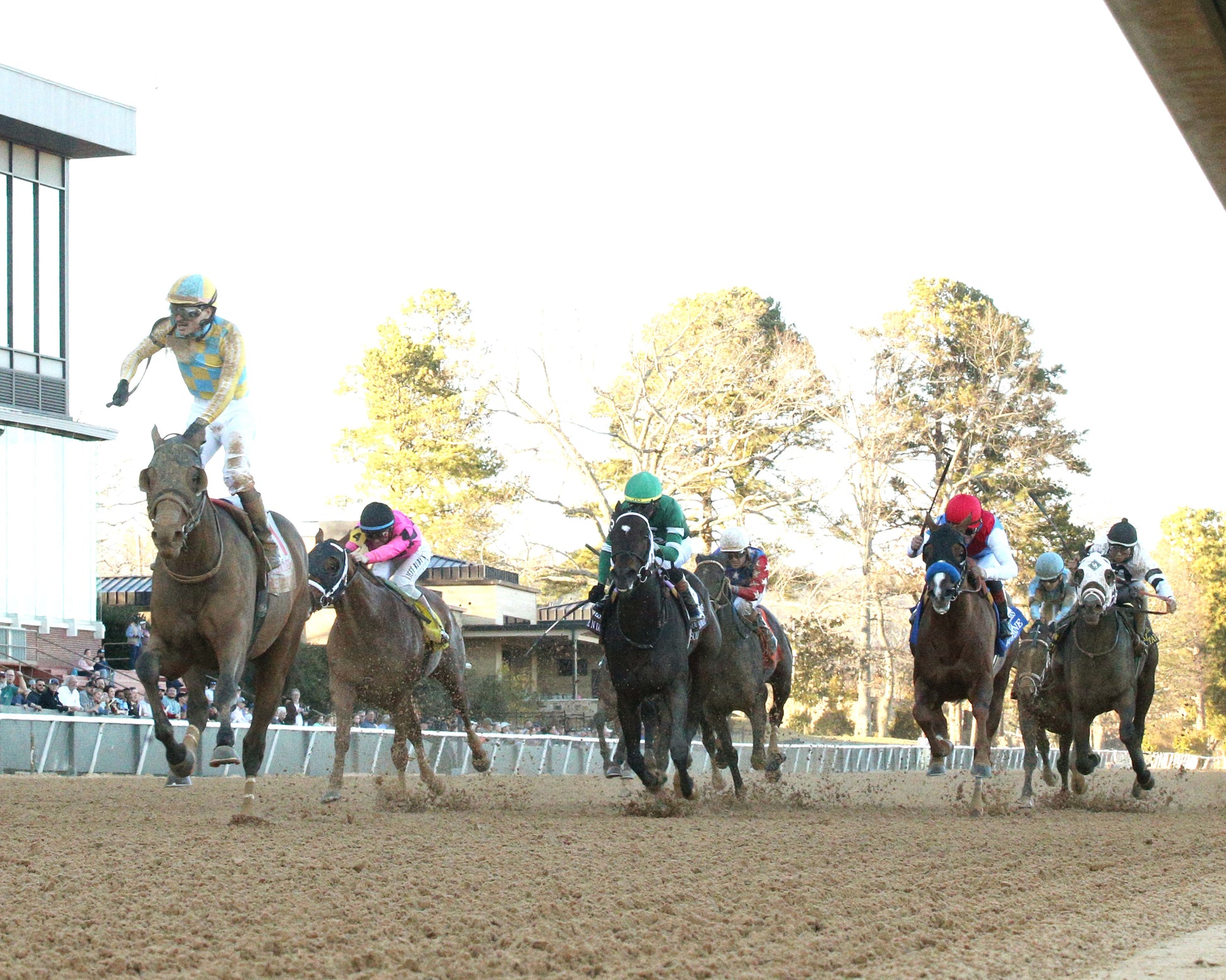 SILENT TACTIC - The Southwest Stakes G3 - 02-06-26 - R11 - OP - Under Rail 01 - Coady Media - Kurtis Coady Photography