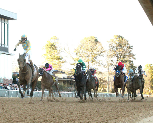 SILENT TACTIC - The Southwest Stakes G3 - 02-06-26 - R11 - OP - Under Rail 01 - Coady Media - Kurtis Coady Photography
