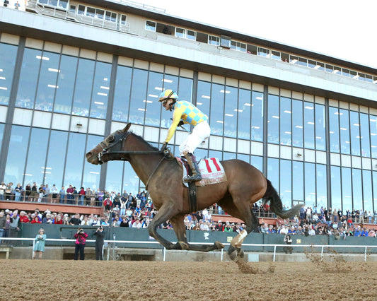 SILENT TACTIC - The Southwest Stakes G3 - 02-06-26 - R11 - OP - Under Rail 02 - Coady Media - Kurtis Coady Photography