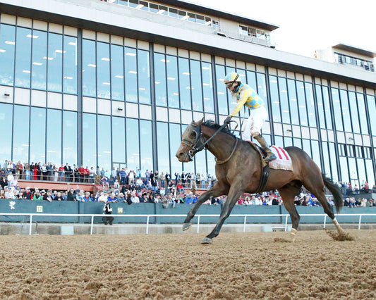 SILENT TACTIC - The Southwest Stakes G3 - 02-06-26 - R11 - OP - Under Rail 03 - Coady Media - Kurtis Coady Photography