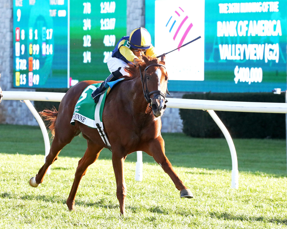 SISTER TROIENNE - 102326 - Race 09 - KEE  Valley View G2 - Finish 02