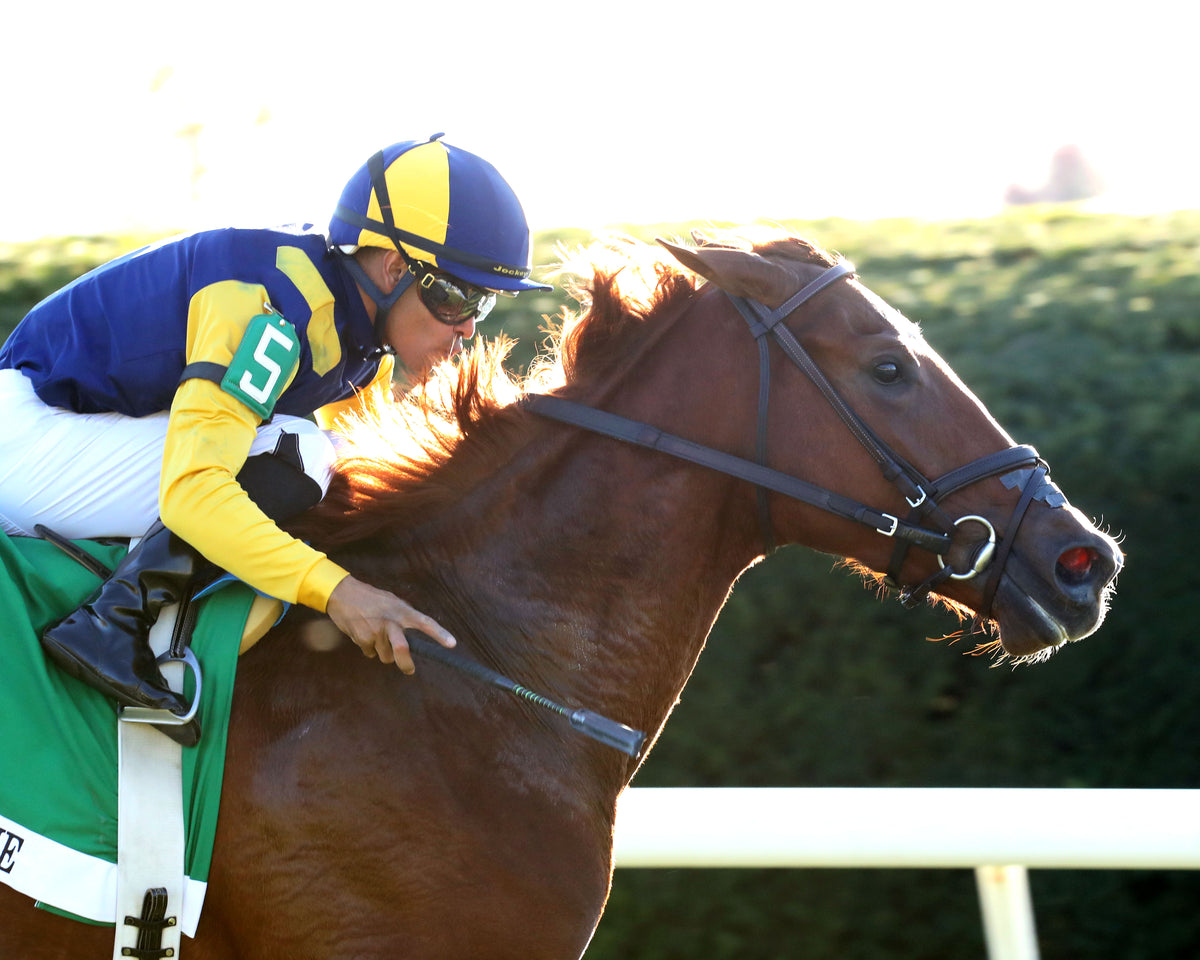 SISTER TROIENNE - 102326 - Race 09 - KEE  Valley View G2 - Finish 04