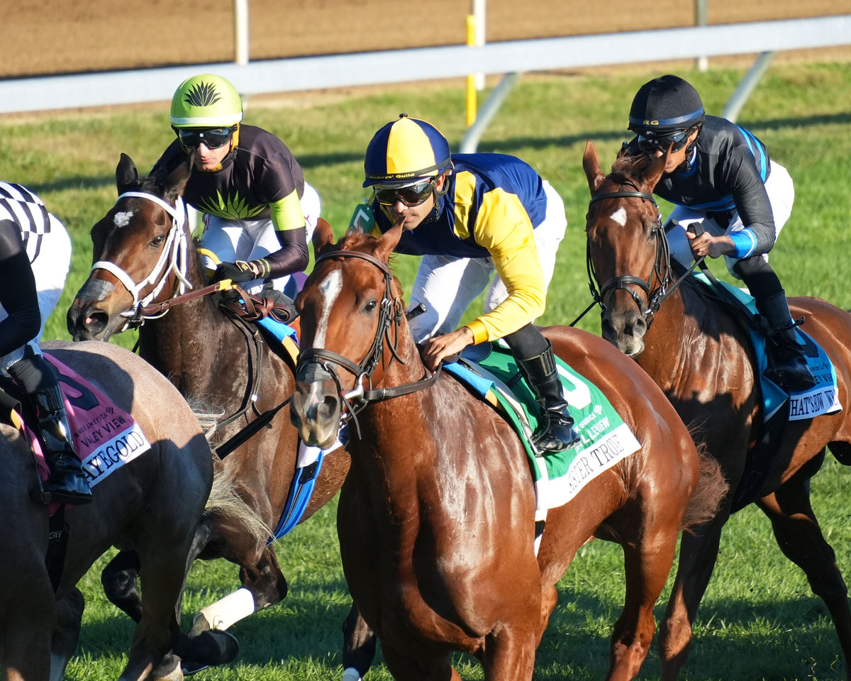SISTER TROIENNE - 102326 - Race 09 - KEE  Valley View G2 - First Pass 02
