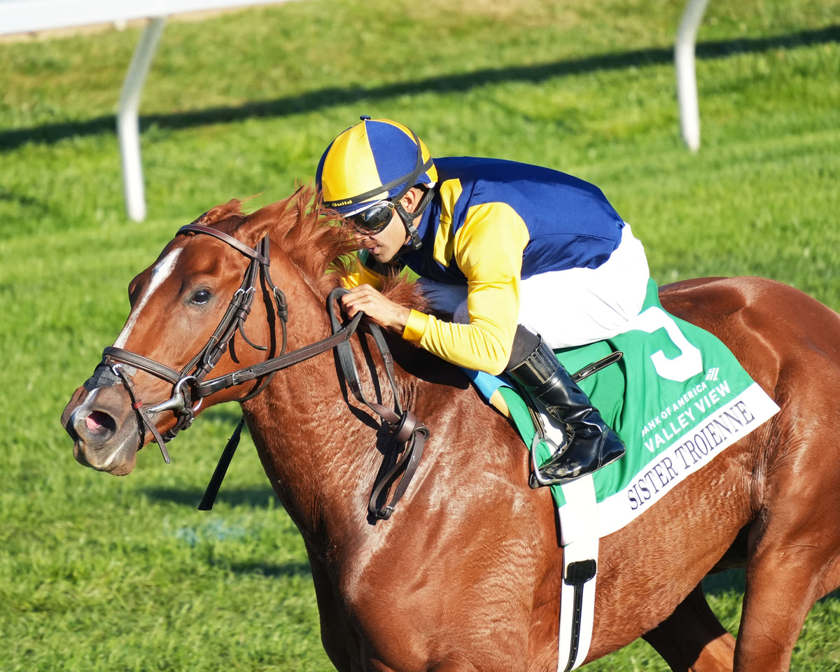 SISTER TROIENNE - 102326 - Race 09 - KEE  Valley View G2 - Inside Finish 01
