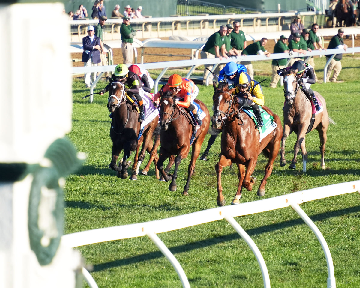 SISTER TROIENNE - 102326 - Race 09 - KEE  Valley View G2 - Inside Finish 02