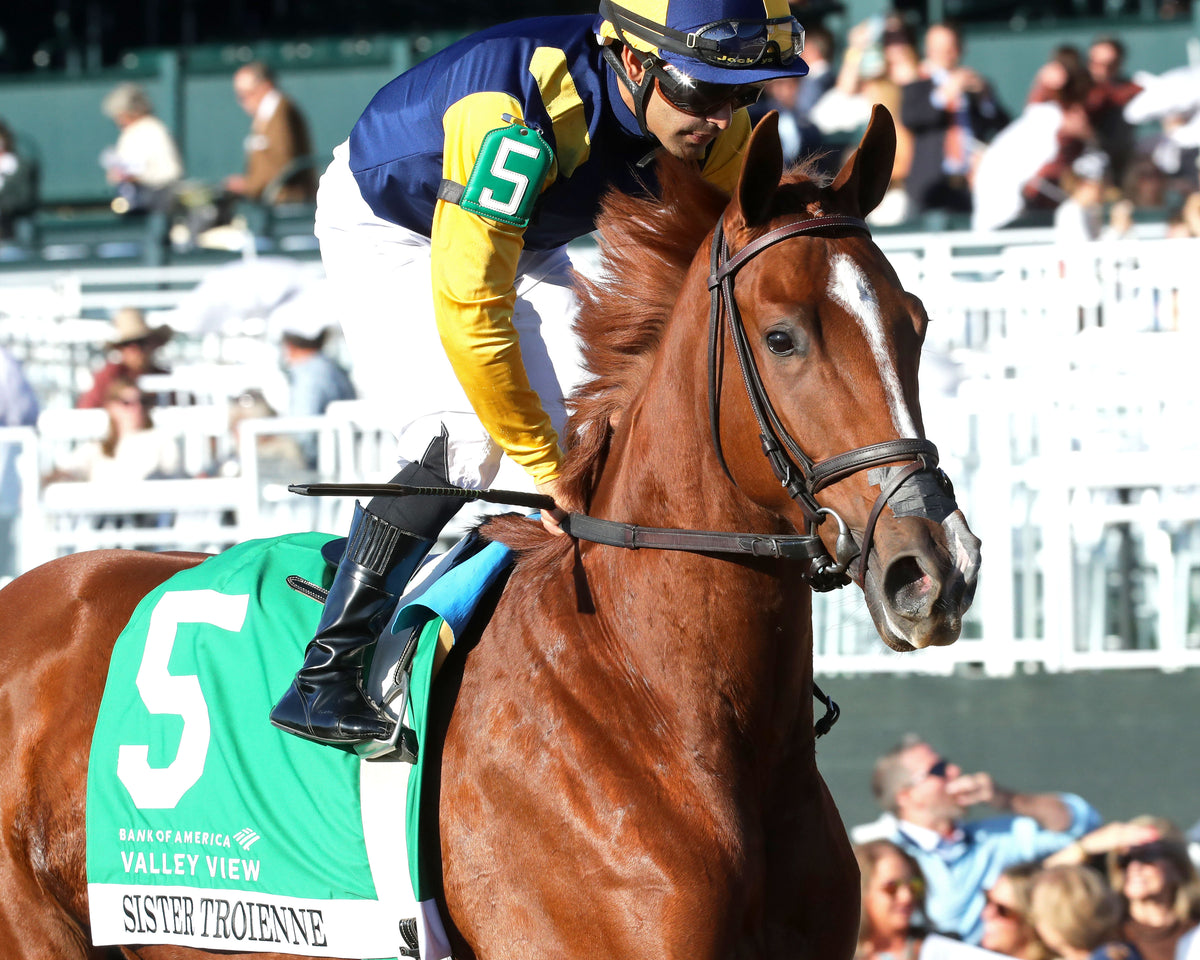 SISTER TROIENNE - 102326 - Race 09 - KEE  Valley View G2 - Post Parade 03