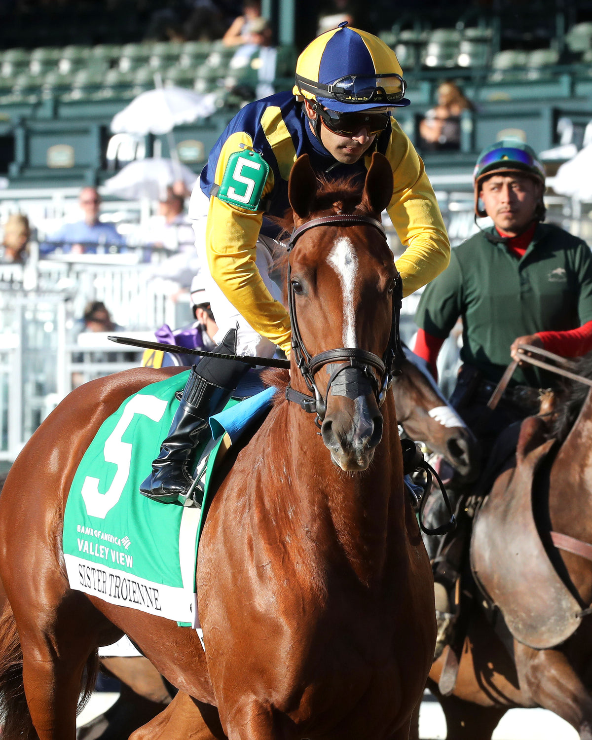 SISTER TROIENNE - 102326 - Race 09 - KEE  Valley View G2 - Post Parade 04