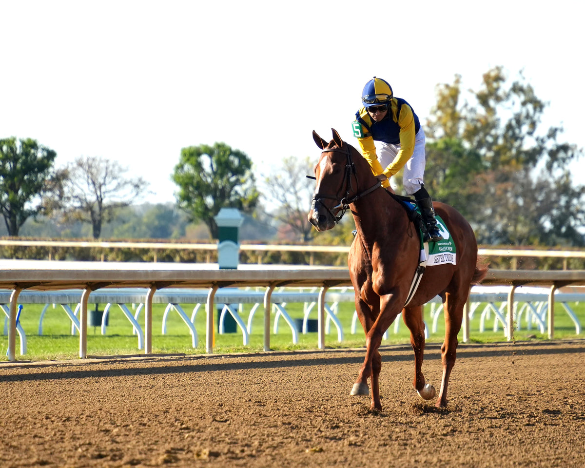 SISTER TROIENNE - 102326 - Race 09 - KEE  Valley View G2 - Post Parade 05