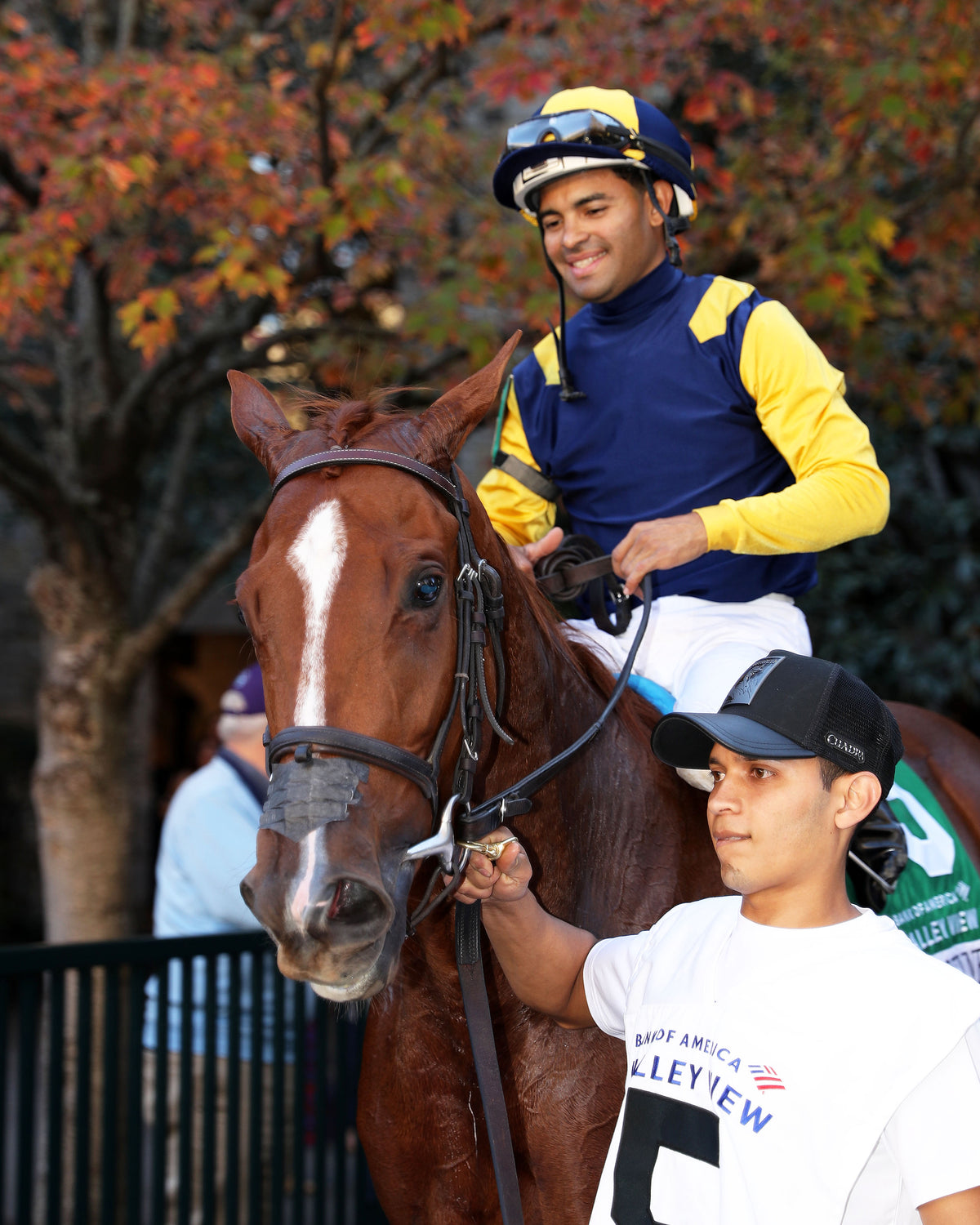 SISTER TROIENNE - 102326 - Race 09 - KEE  Valley View G2 - Walk In 01