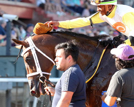 SKIPPYLONGSTOCKING - Essex Handicap G3 - 03-21-26 - R09 - OP - Come Back 01 - Coady Media - Kurtis Coady Photography