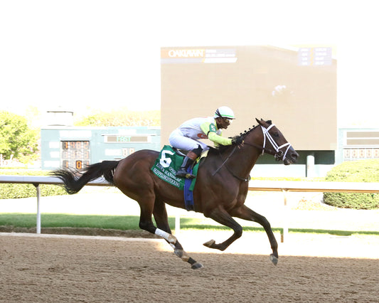 SKIPPYLONGSTOCKING - Essex Handicap G3 - 03-21-26 - R09 - OP - Finish 01 - Coady Media - Kurtis Coady Photography