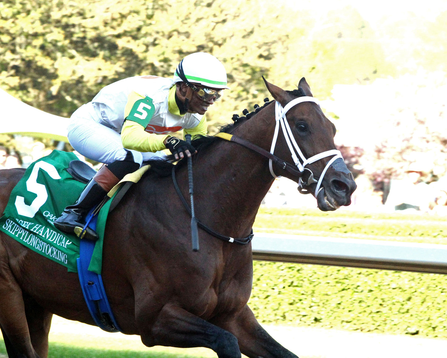SKIPPYLONGSTOCKING - Essex Handicap G3 - 03-21-26 - R09 - OP - Finish 02 - Coady Media - Kurtis Coady Photography