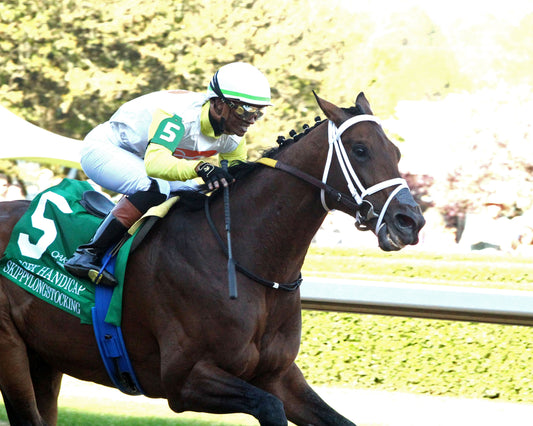 SKIPPYLONGSTOCKING - Essex Handicap G3 - 03-21-26 - R09 - OP - Finish 02 - Coady Media - Kurtis Coady Photography