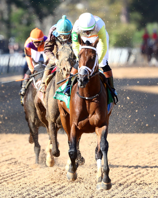 SKIPPYLONGSTOCKING - Essex Handicap G3 - 03-21-26 - R09 - OP - First Turn 01 - Coady Media - Kurtis Coady Photography