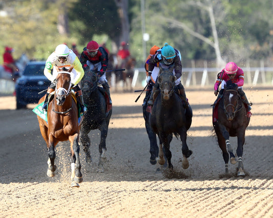 SKIPPYLONGSTOCKING - Essex Handicap G3 - 03-21-26 - R09 - OP - Head On 01 - Coady Media - Kurtis Coady Photography