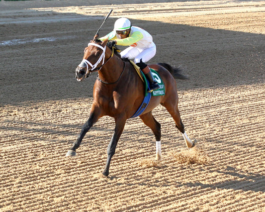 SKIPPYLONGSTOCKING - Essex Handicap G3 - 03-21-26 - R09 - OP - Inside Finish 02 - Coady Media - Kurtis Coady Photography