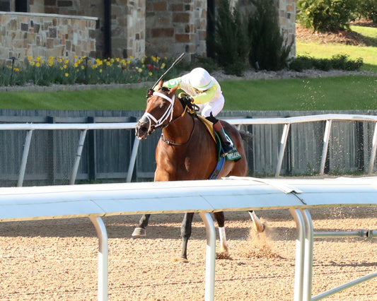 SKIPPYLONGSTOCKING - Essex Handicap G3 - 03-21-26 - R09 - OP - Inside Finish 03 - Coady Media - Kurtis Coady Photography
