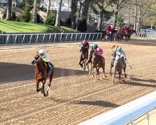 SKIPPYLONGSTOCKING - Essex Handicap G3 - 03-21-26 - R09 - OP - Inside Finish 04 - Coady Media - Kurtis Coady Photography