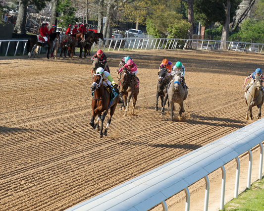 SKIPPYLONGSTOCKING - Essex Handicap G3 - 03-21-26 - R09 - OP - Inside Finish 05 - Coady Media - Kurtis Coady Photography