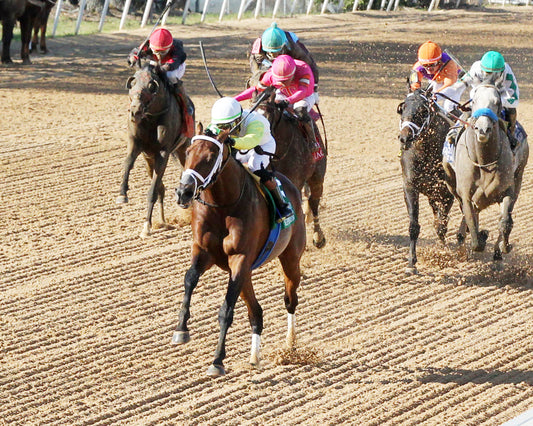 SKIPPYLONGSTOCKING - Essex Handicap G3 - 03-21-26 - R09 - OP - Inside Finish 06 - Coady Media - Kurtis Coady Photography