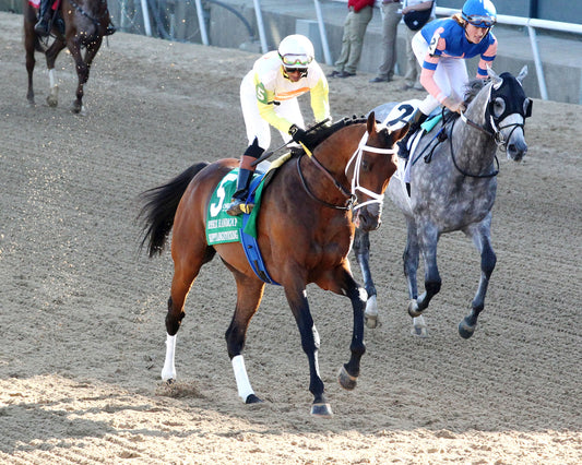 SKIPPYLONGSTOCKING - Essex Handicap G3 - 03-21-26 - R09 - OP - Post Parade 01 - Coady Media - Kurtis Coady Photography