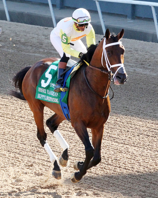 SKIPPYLONGSTOCKING - Essex Handicap G3 - 03-21-26 - R09 - OP - Post Parade 02 - Coady Media - Kurtis Coady Photography