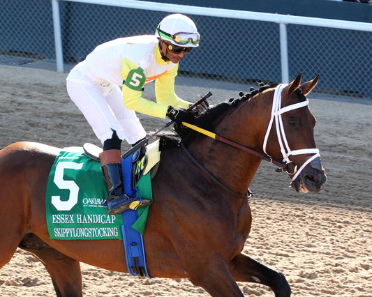 SKIPPYLONGSTOCKING - Essex Handicap G3 - 03-21-26 - R09 - OP - Post Parade 03 - Coady Media - Kurtis Coady Photography