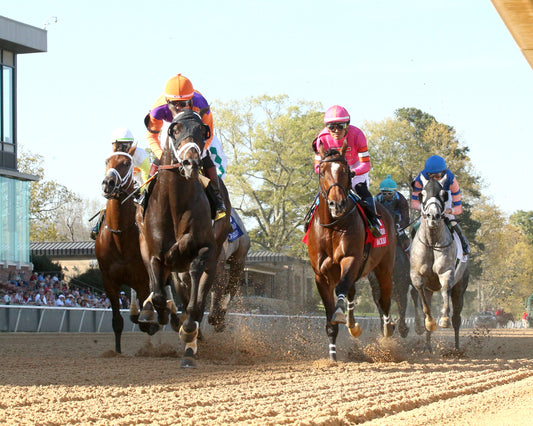 SKIPPYLONGSTOCKING - Essex Handicap G3 - 03-21-26 - R09 - OP - Under Rail - First Pass 01 - Coady Media - Kurtis Coady Photography