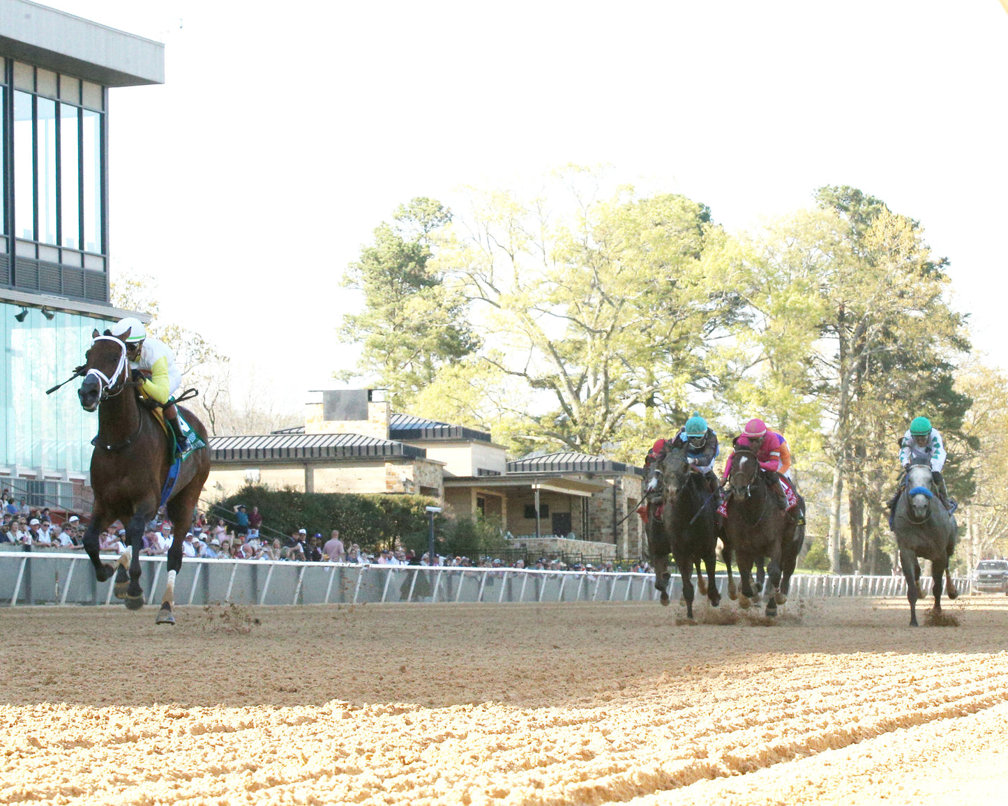 SKIPPYLONGSTOCKING - Essex Handicap G3 - 03-21-26 - R09 - OP - Under Rail 01 - Coady Media - Kurtis Coady Photography