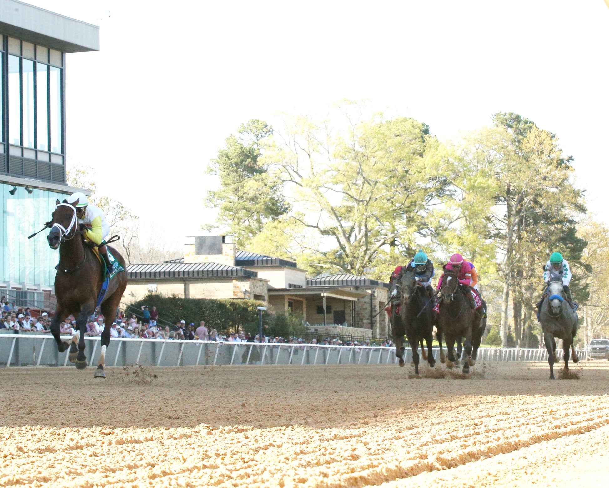 SKIPPYLONGSTOCKING - Essex Handicap G3 - 03-21-26 - R09 - OP - Under Rail 01 - Coady Media - Kurtis Coady Photography