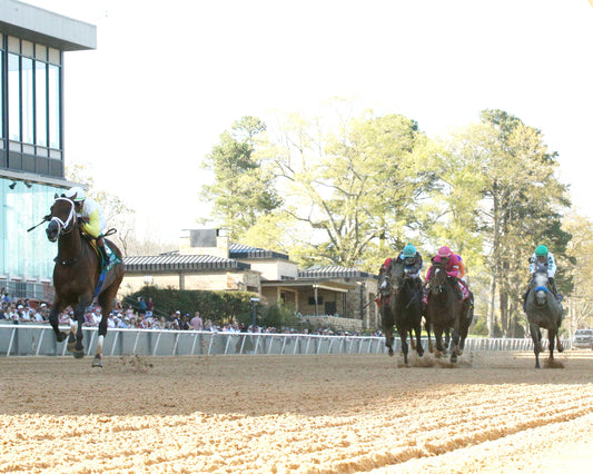 SKIPPYLONGSTOCKING - Essex Handicap G3 - 03-21-26 - R09 - OP - Under Rail 01 - Coady Media - Kurtis Coady Photography