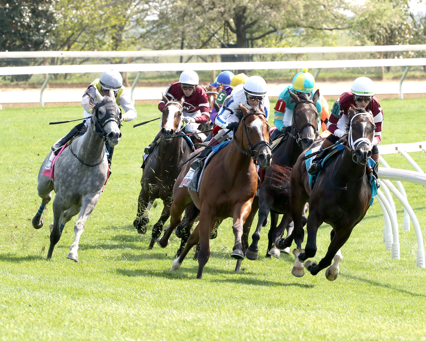 SLAY THE DAY - 041026 - Race 07 - KEE - Turn 01 - Coady Media - Kurtis Coady Photography